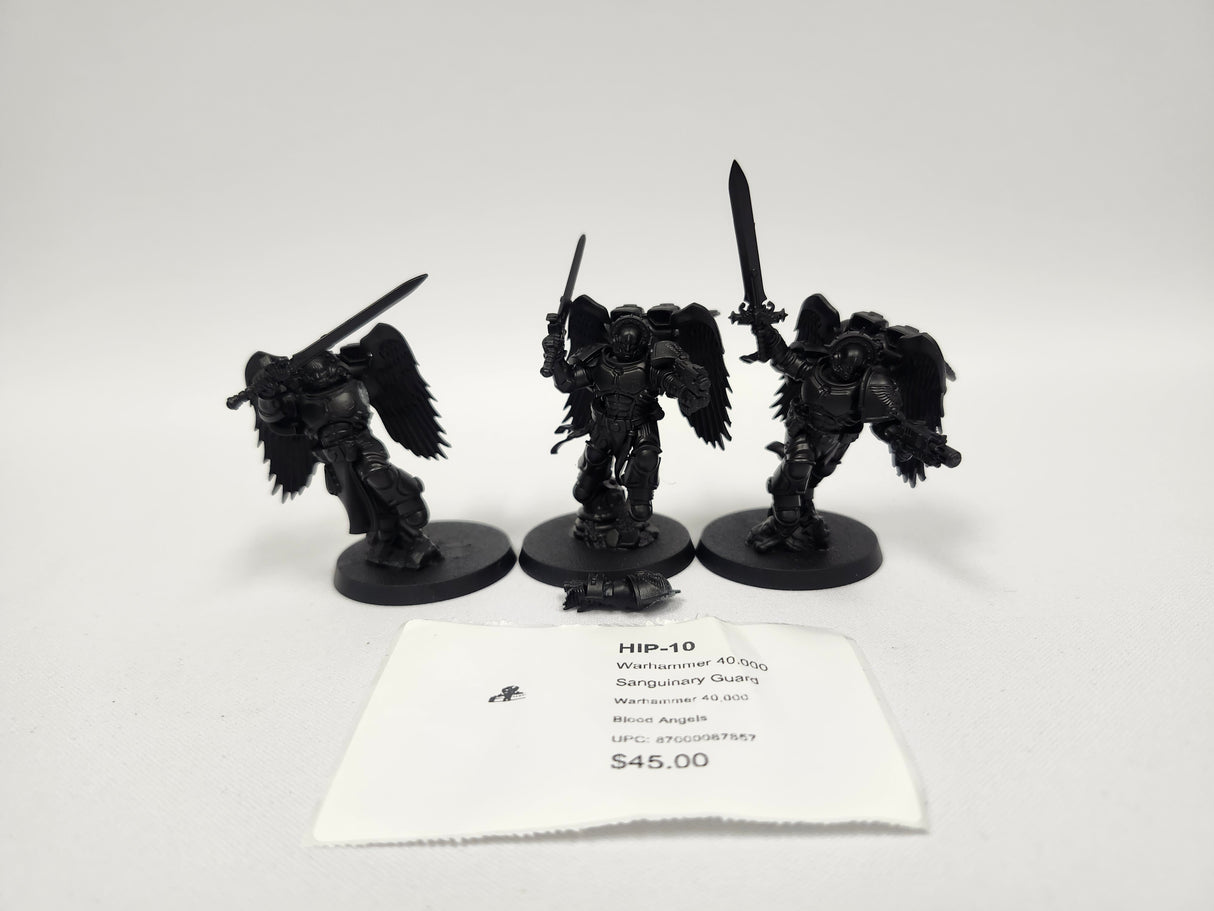 Warhammer 40,000 Sanguinary Guard HIP-10