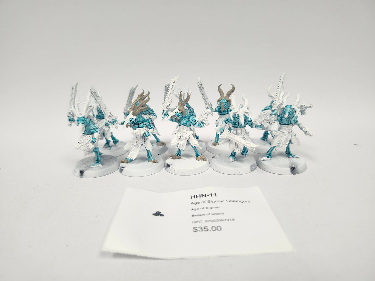Age of Sigmar Tzaangors HHN-11