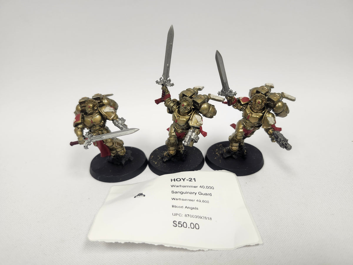 Warhammer 40,000 Sanguinary Guard HOY-21