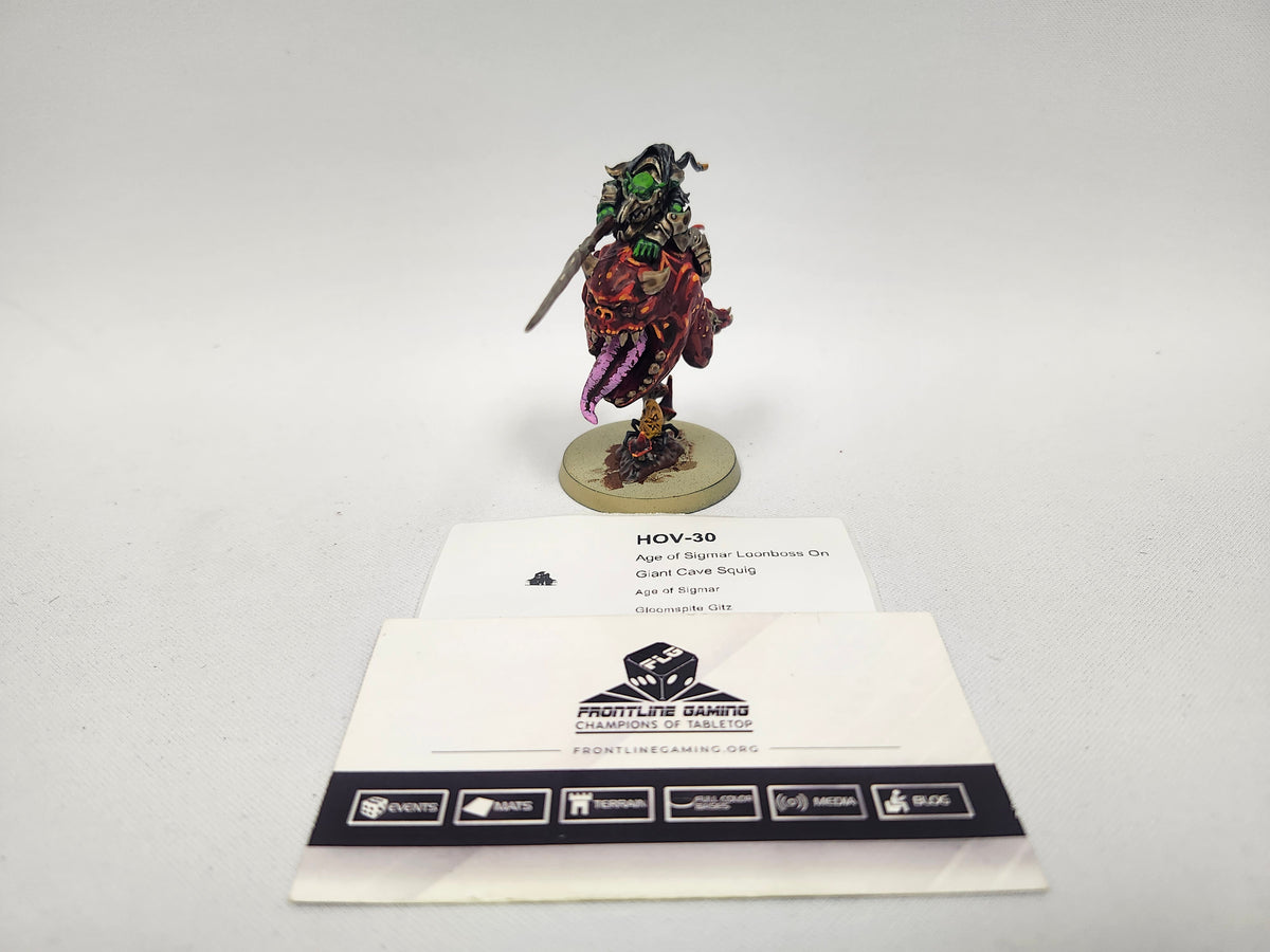 Age of Sigmar Loonboss On Giant Cave Squig HOV-30
