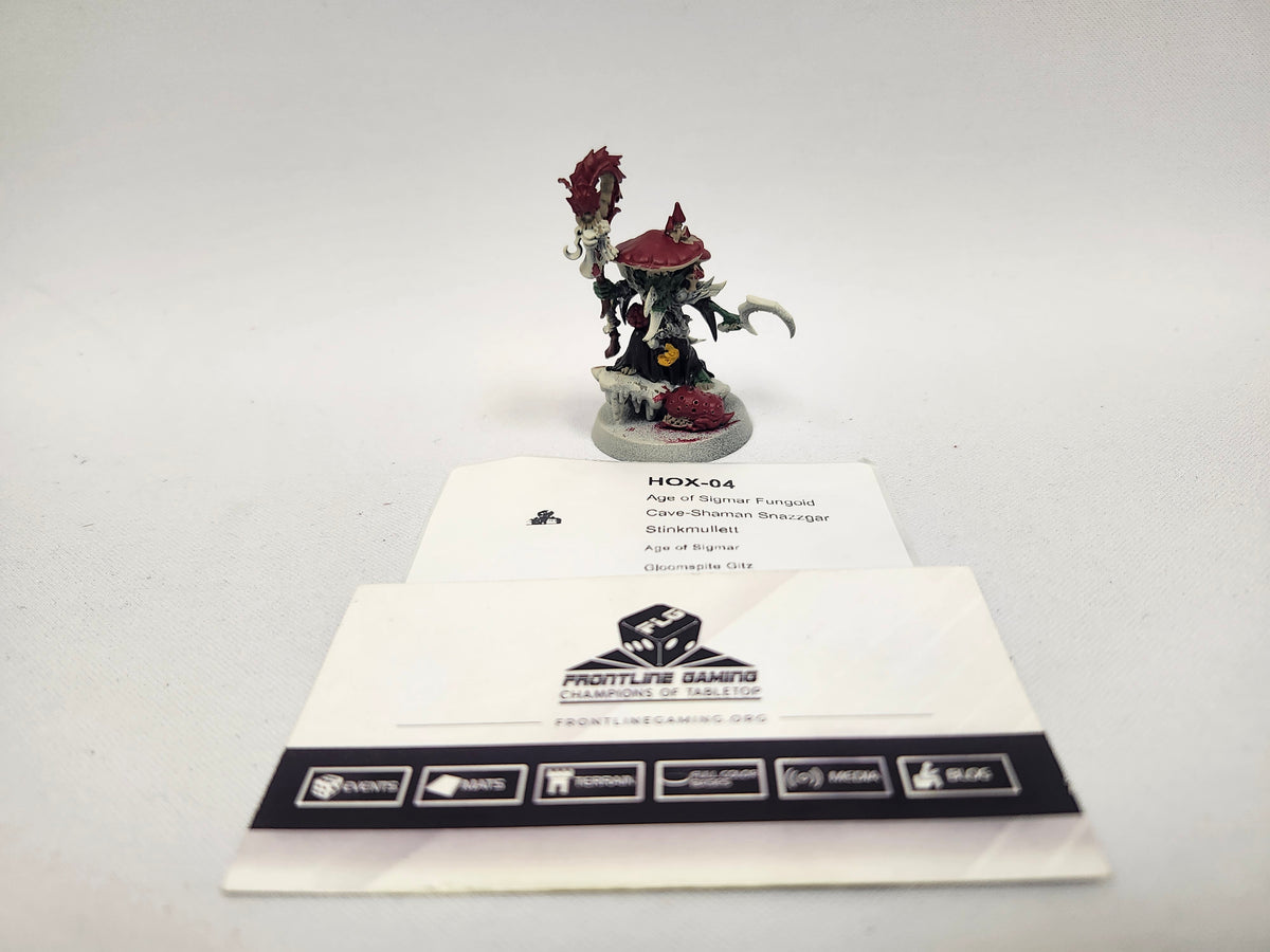 Age of Sigmar Fungoid Cave-Shaman Snazzgar Stinkmullett HOX-04