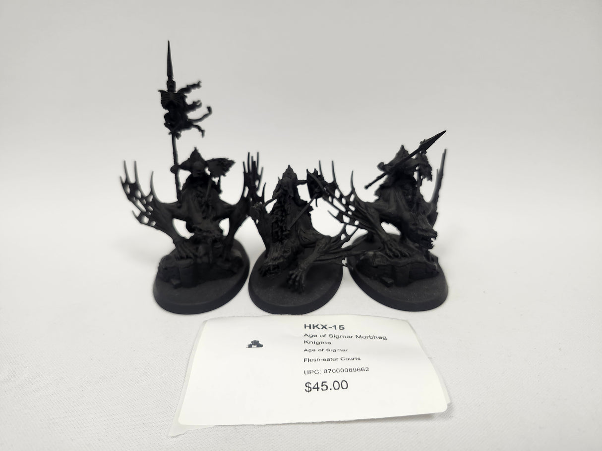Age of Sigmar Morbheg Knights HKX-15