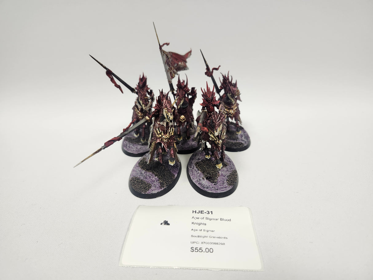 Age of Sigmar Blood Knights HJE-31