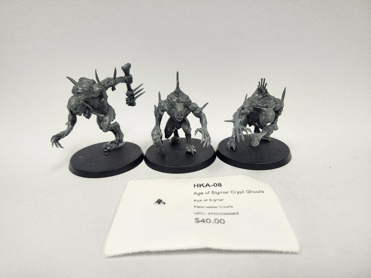 Age of Sigmar Crypt Ghouls HKA-08