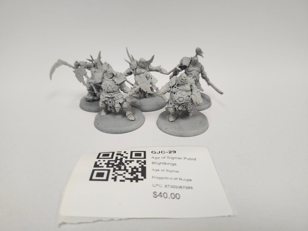 Age of Sigmar Putrid Blightkings GJC-29