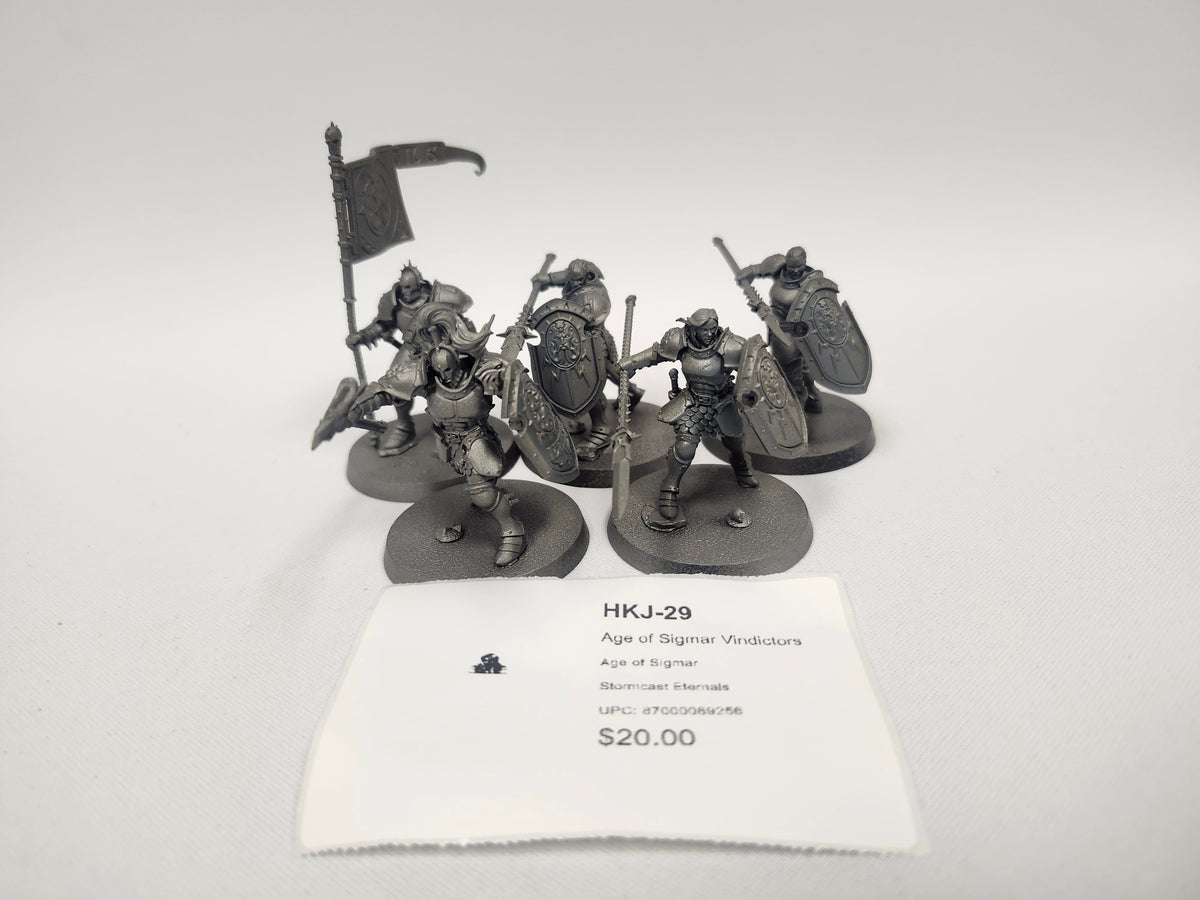 Age of Sigmar Vindictors HKJ-29