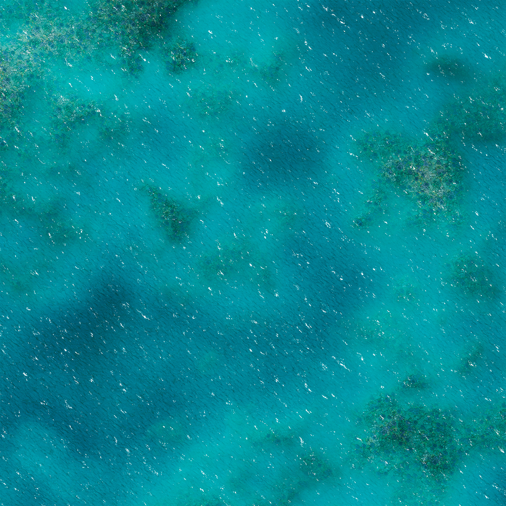 FLG Mats: Coral Reef