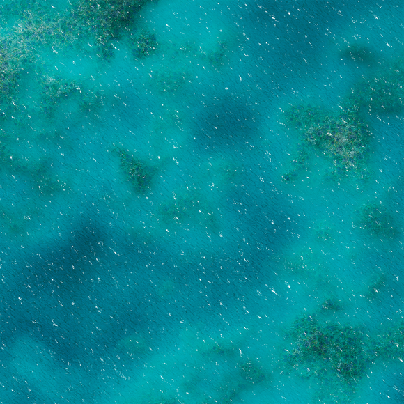 FLG Mats: Coral Reef