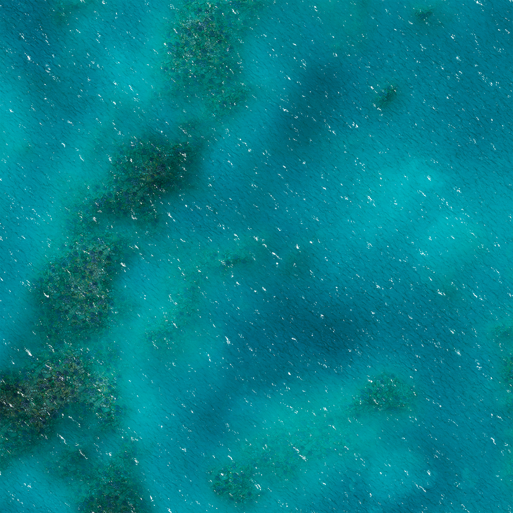 FLG Mats: Coral Reef
