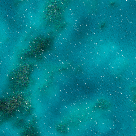 FLG Mats: Coral Reef