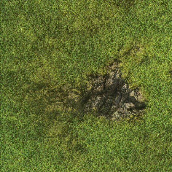 FLG Mats: Grasslands 1