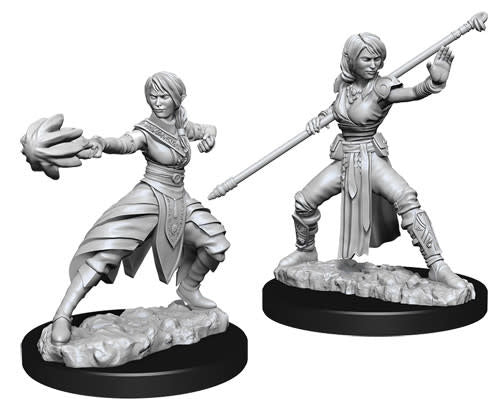 D&D Minis: Nolzur's Marvelous Unpainted Miniatures, W10 Female Elf  Cleric