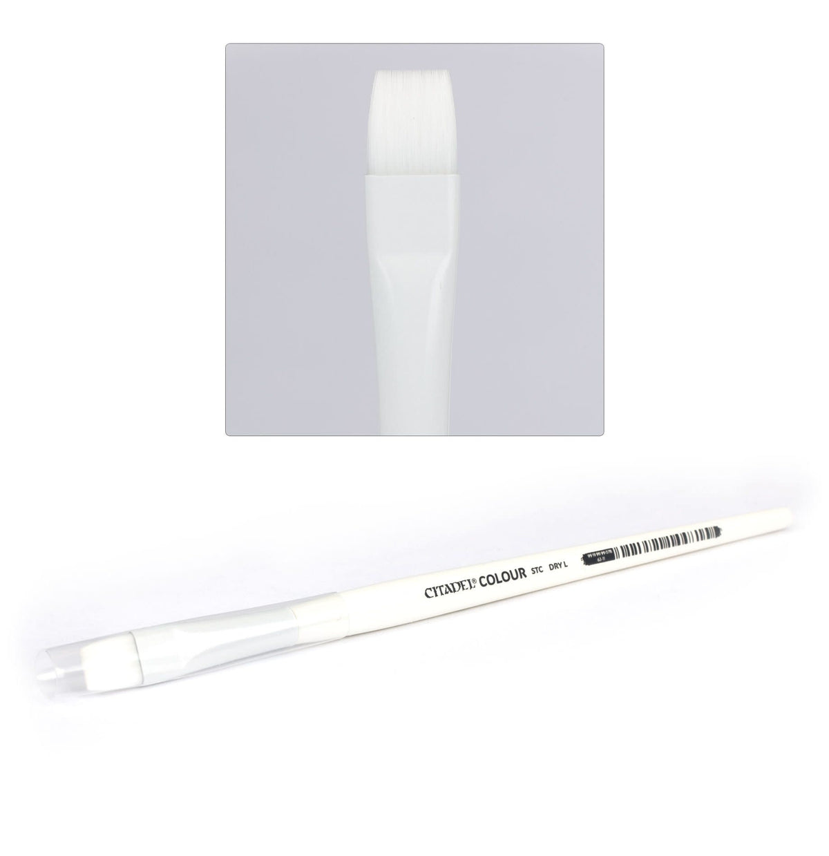 A white Citadel dry brush lies diagonally, with a white handle, broad flat white bristles and black lettering reading “CITADEL COLOUR” and “STC DRY.” An inset above shows a close-up of the bristle tip.
