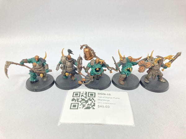 Age of Sigmar Putrid Blightkings DGN-15