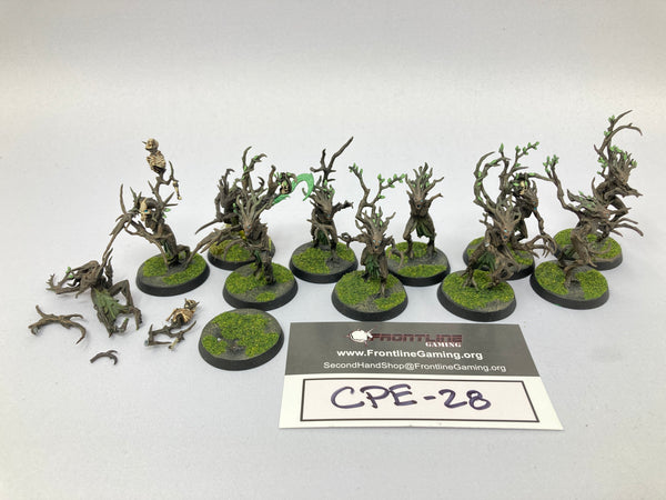 Age of Sigmar Sylvaneth Sylvaneth Dryads CPE-28