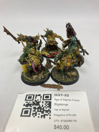 Age of Sigmar Putrid Blightkings GGT-22