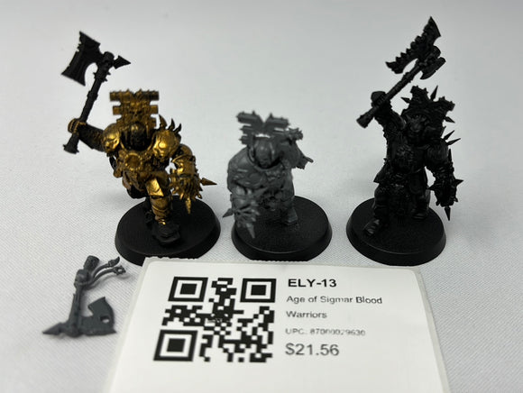 Age of Sigmar Blood Warriors ELY-13