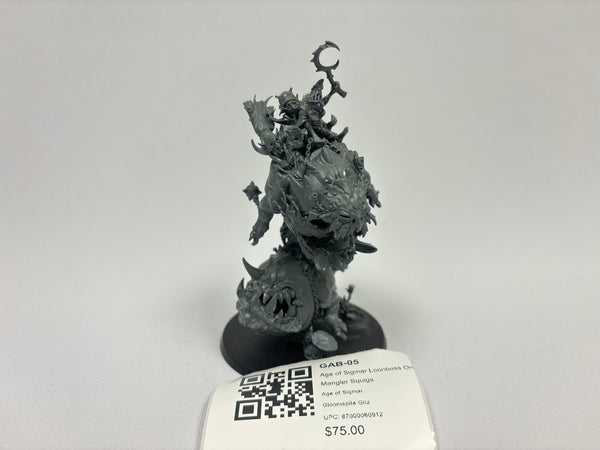 Age of Sigmar Loonboss On Mangler Squigs GAB-05