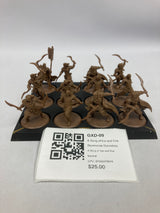 A Song of Ice and Fire Stormcrow Dervishes GXD-09