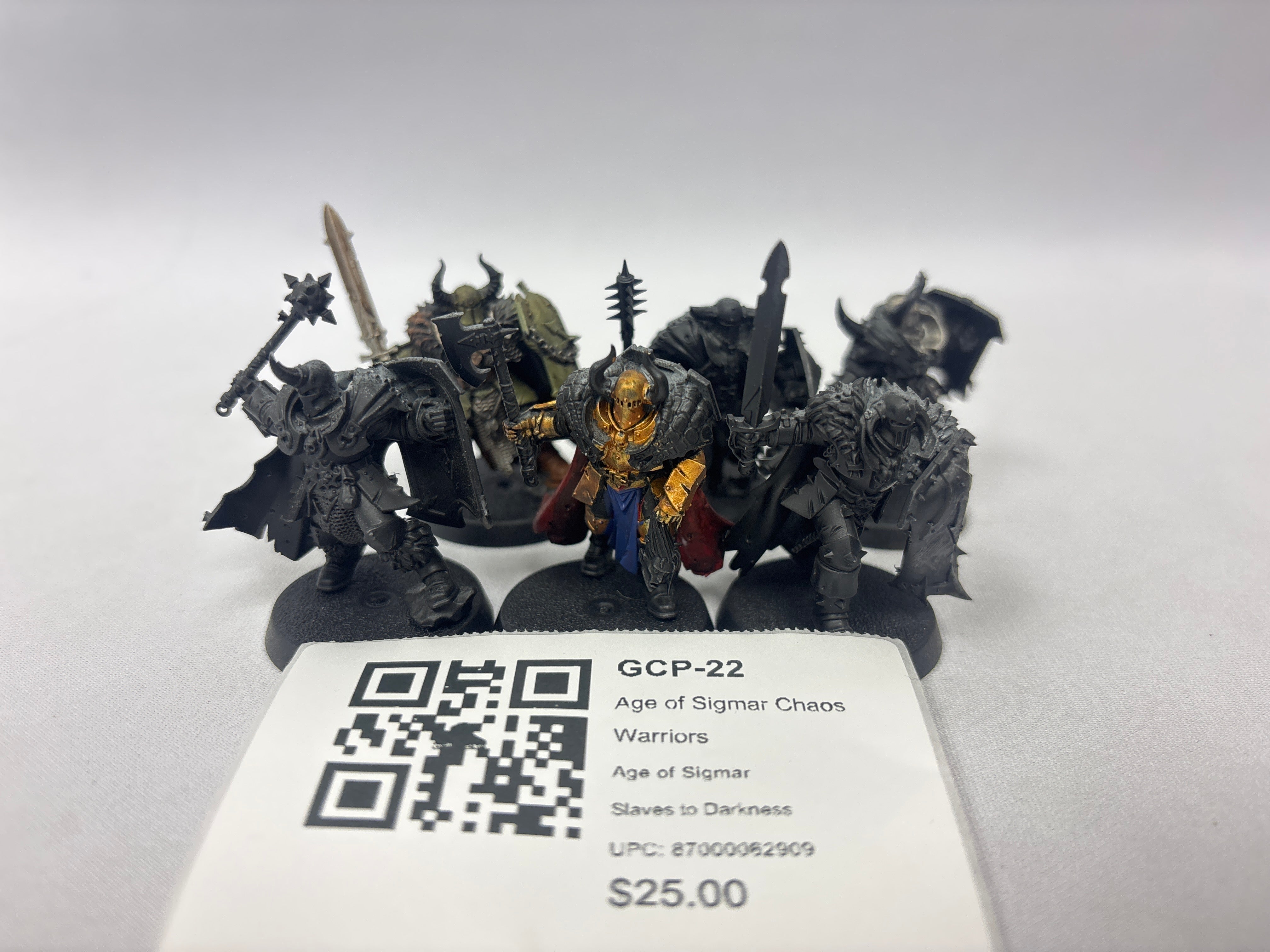 Age of Sigmar Chaos Warriors GCP-22