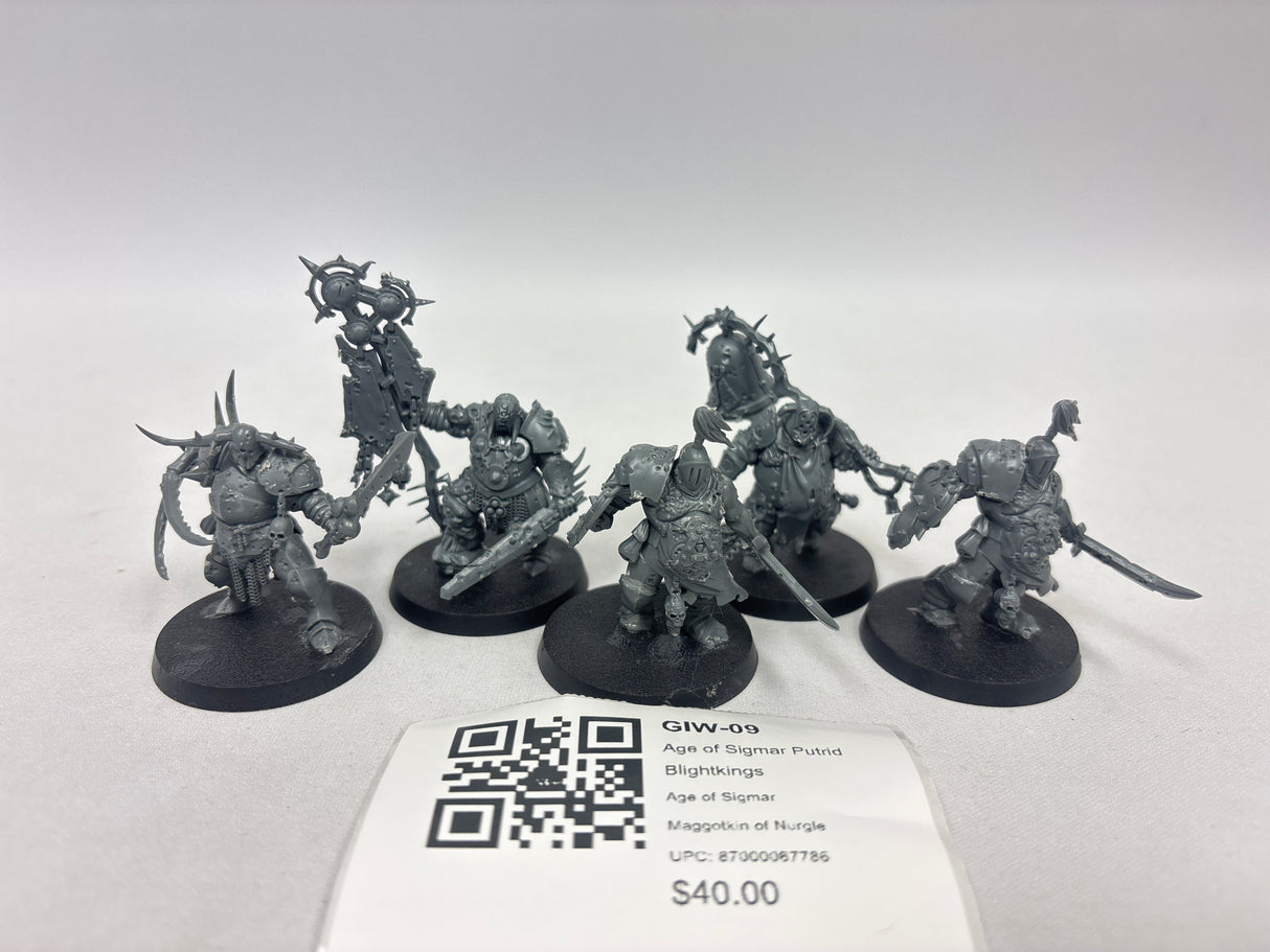 Age of Sigmar Putrid Blightkings GIW-09