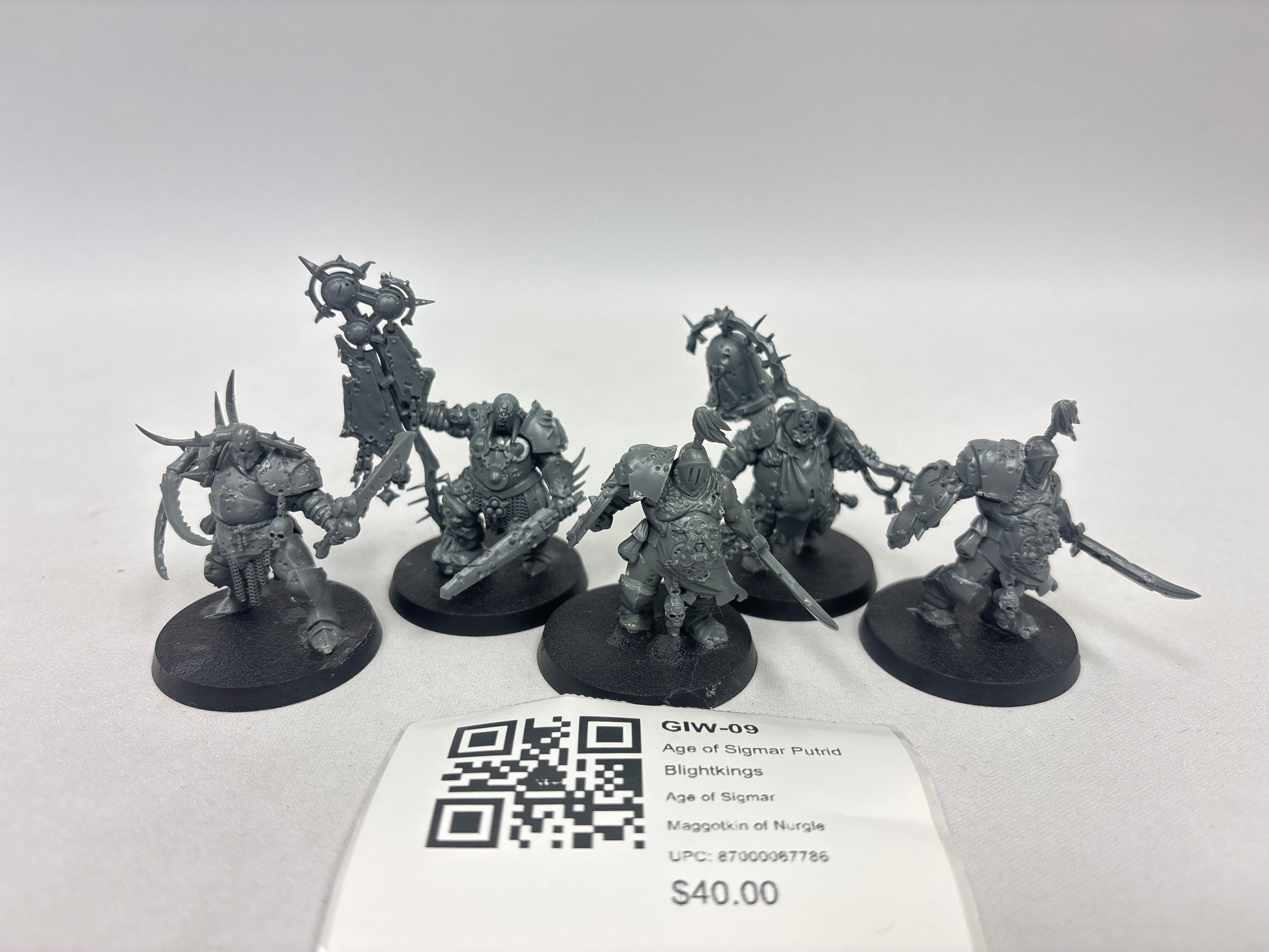 Age of Sigmar Putrid Blightkings GIW-09