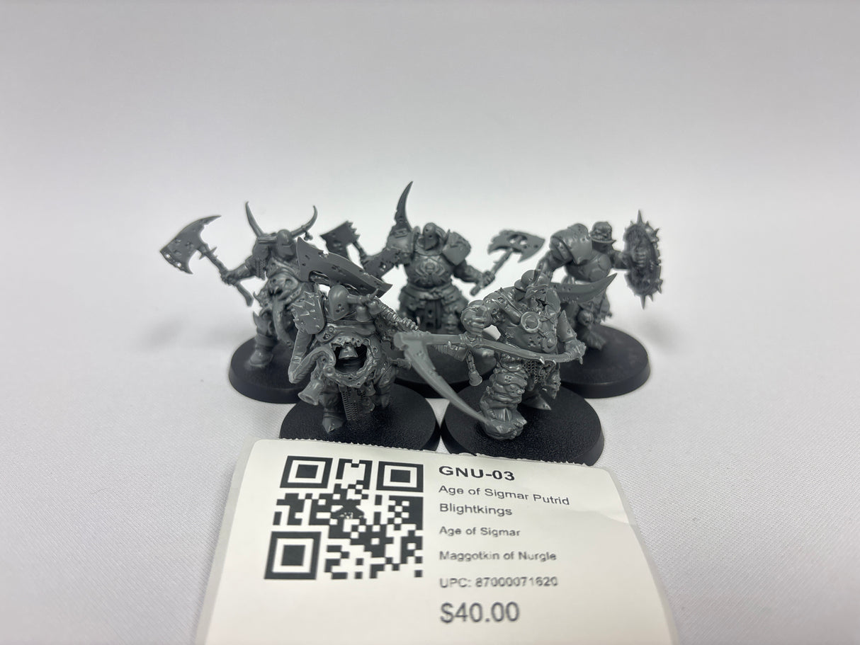 Age of Sigmar Putrid Blightkings GNU-03