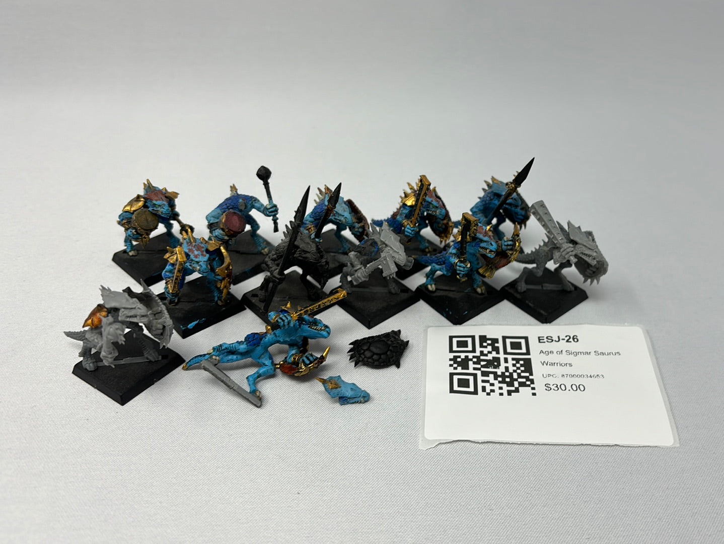 Age of Sigmar Saurus Warriors ESJ-26