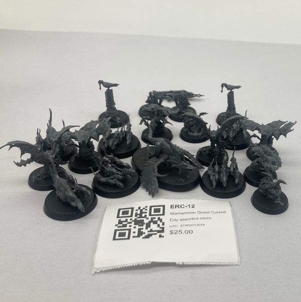 Warhammer Quest Cursed City assorted minis ERC-12