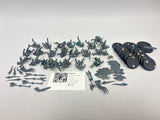 Age of Sigmar Kairic Acolytes GKI-23