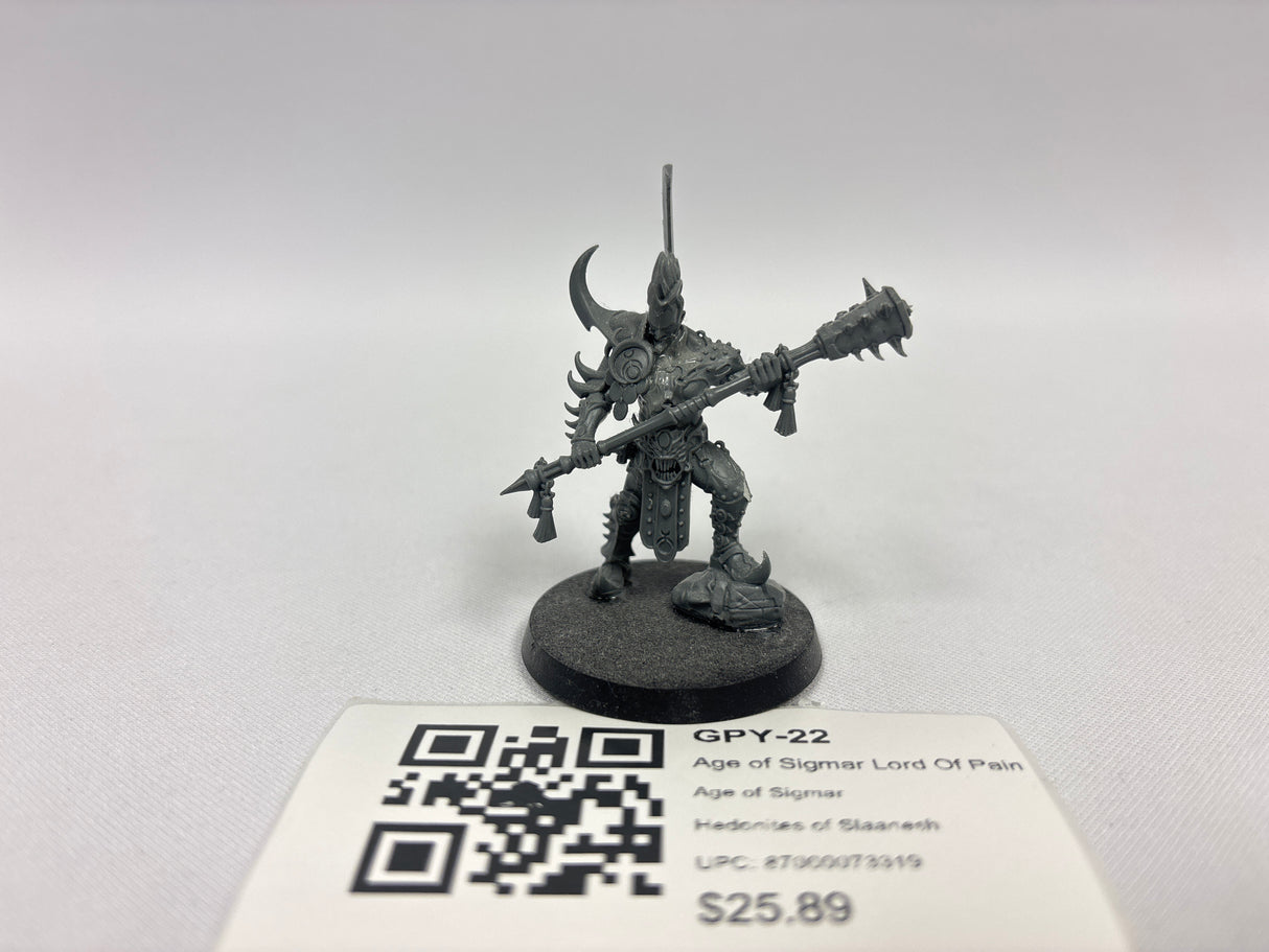 Age of Sigmar Lord Of Pain GPY-22