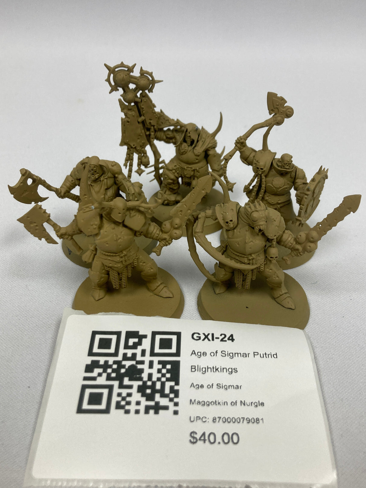 Age of Sigmar Putrid Blightkings GXI-24