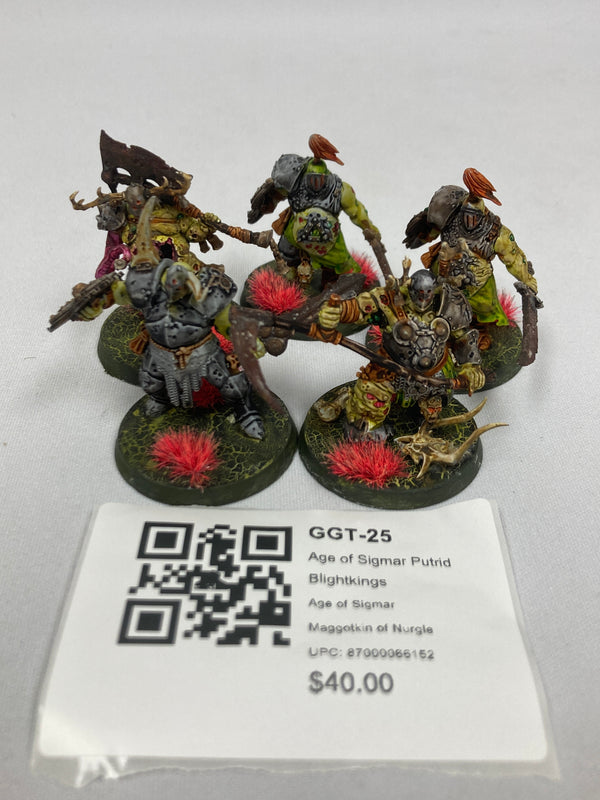 Age of Sigmar Putrid Blightkings GGT-25