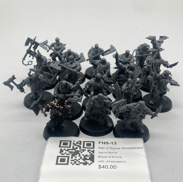 Age of Sigmar Bloodreavers FHS-13