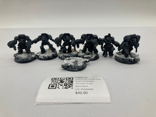 Warhammer 40,000 Wolf Guard Terminators FMR-15