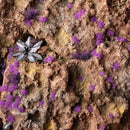 Tiny Alien Purple - product photo