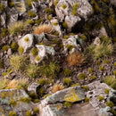 Tiny Dry Green - diorama