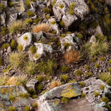 Tiny Dry Green - diorama