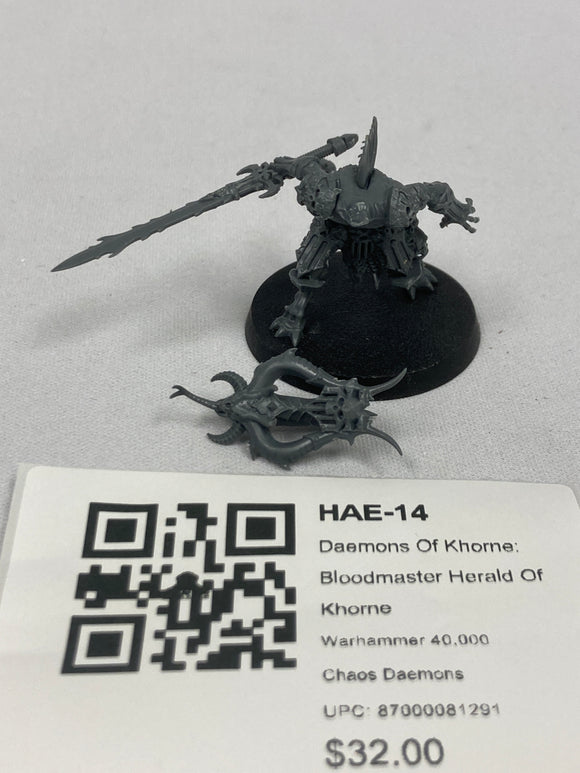 Daemons Of Khorne: Bloodmaster Herald Of Khorne HAE-14