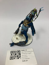 Age of Sigmar Breaka-Boss On Mirebrute Troggoth GMK-14