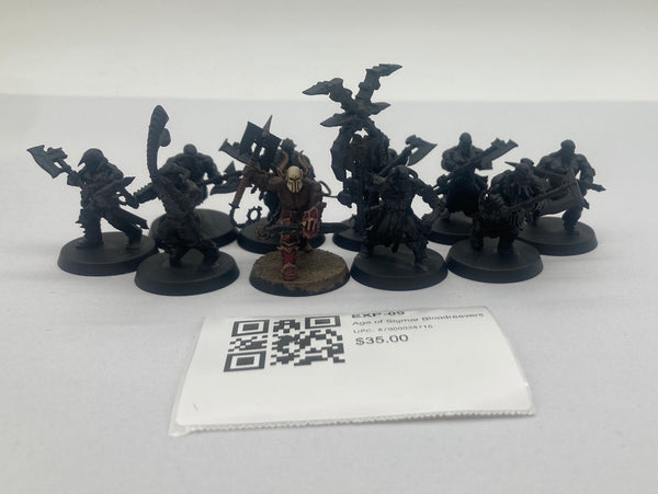 Age of Sigmar Bloodreavers EXP-09
