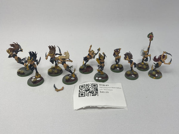 Age of Sigmar Witch Aelves DYR-23