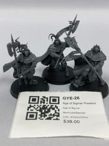 Age of Sigmar Praetors GYE-26