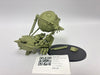 Age of Sigmar Grundstok Gunhauler GJV-20
