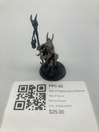 Age of Sigmar Bray Shaman FPC-22