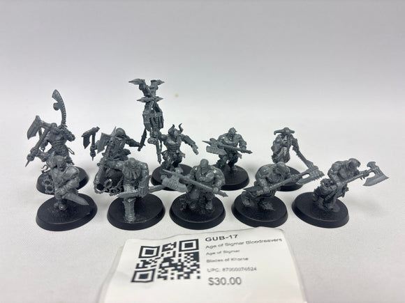 Age of Sigmar Bloodreavers GUB-17