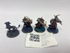 Age of Sigmar Easy To Build Castigators With Gryph-Hound GVN-09
