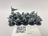 Age of Sigmar Clanrats GLU-13