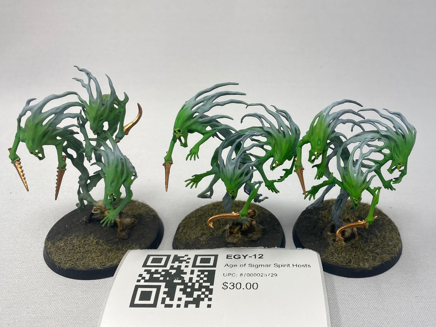 Age of Sigmar Spirit Hosts EGY-12