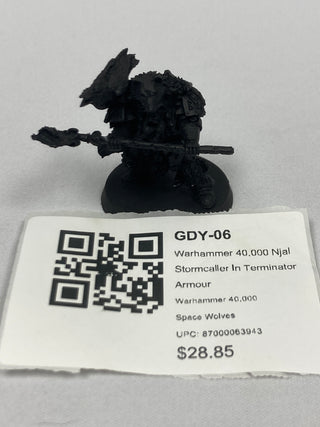 Warhammer 40,000 Njal Stormcaller In Terminator Armour GDY-06